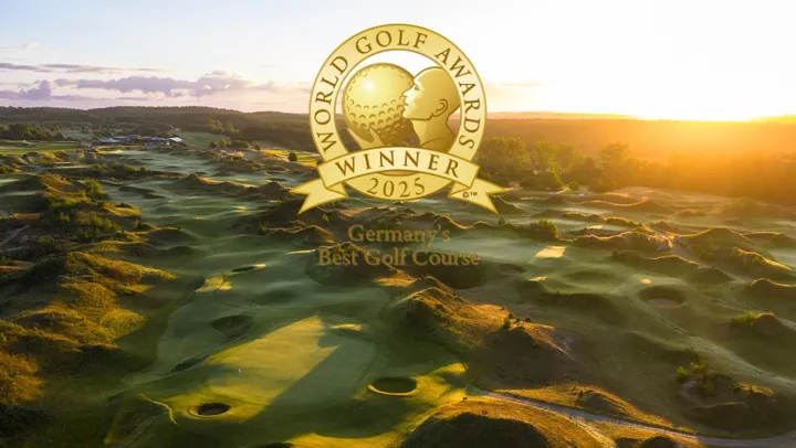 Field, Nature, Outdoors, Scenery, Land