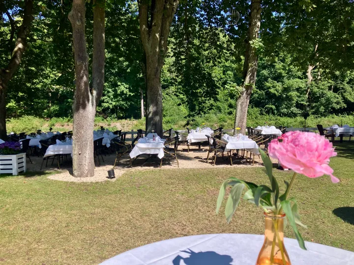 Grass, Plant, Grove, Land, Nature, Outdoors, Tree, Vegetation, Woodland, Park, Dining Table, Furniture, Table, Potted Plant, Flower, Petal, Chair, Architecture, Building, Dining Room, Indoors, Room, Backyard, Yard, Shelter, Lawn, Pottery, Flower Arrangement, Herbal, Herbs, Flower Bouquet, Scenery, Summer