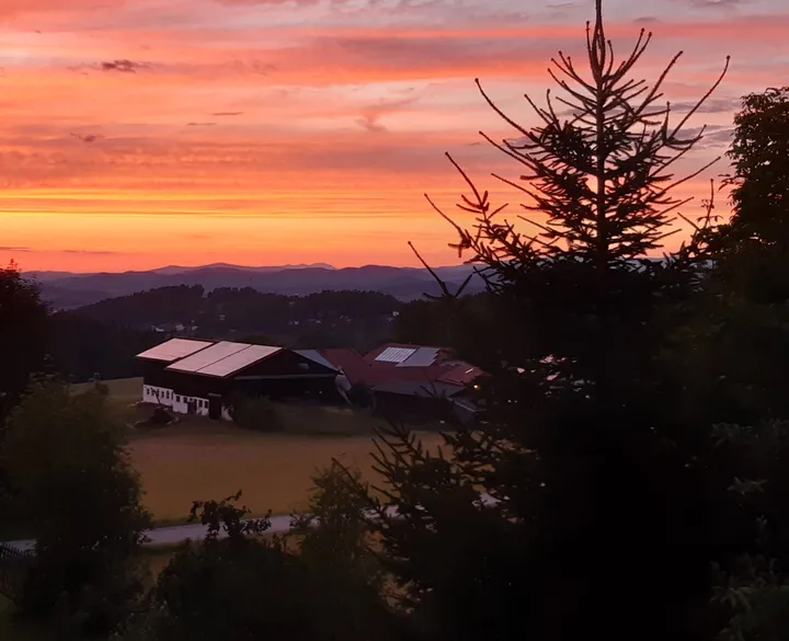 Architecture, Building, Outdoors, Shelter, Plant, Tree, Nature, Sky, Fir, Sunset, Countryside, Hut, Rural, Scenery, Sunrise